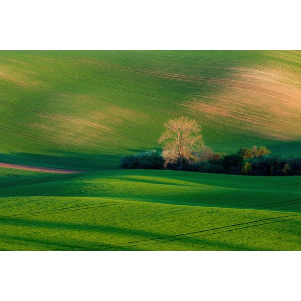 Fototapete papermoon "Feld Mit HüTte", Bunt, B:4,5M L:2,8M, Vlies, Tapeten-image