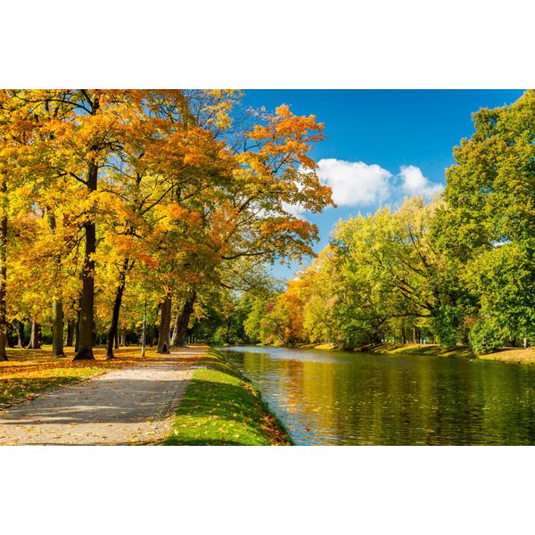 Fototapete Papermoon "River In Autumn Park", Bunt, B:5M L:2,8M, Vlies, Tapeten-image