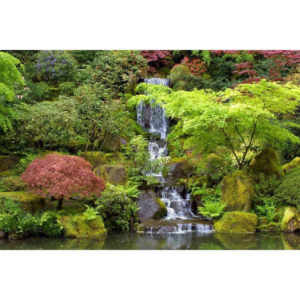 Fototapete papermoon "Kleiner Wasserfall In Garten", Bunt, B:4,5M L:2,8M, Vlies, Tapeten-image