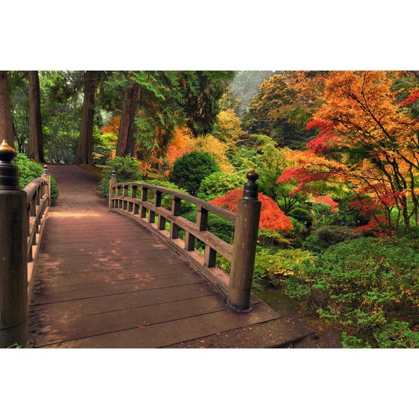 Fototapete Papermoon "Autumn Bridge", Bunt, B:4M L:2,6M, Vlies, Tapeten-image