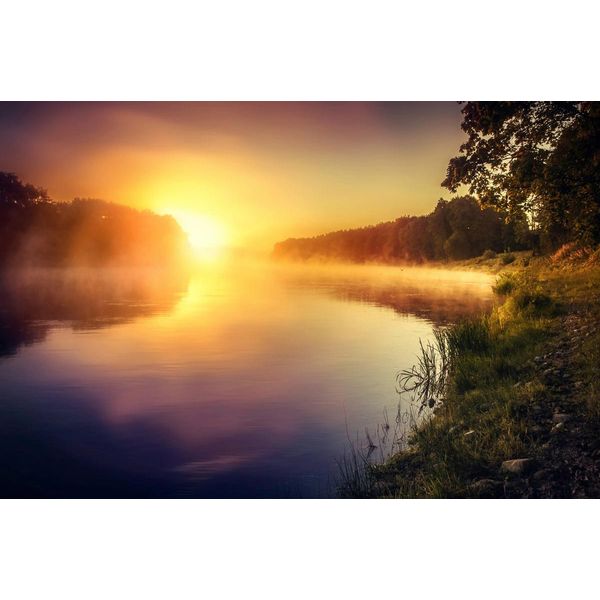Fototapete Papermoon "Fluss Am Wald", Bunt, B:4M L:2,6M, Vlies, Tapeten-image
