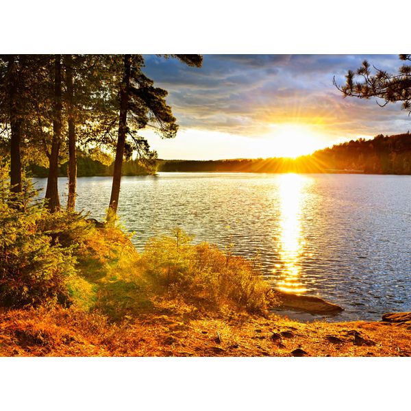 Fototapete Papermoon "Algonquin Park Lake", Bunt, B:4M L:2,6M, Vlies, Tapeten-image