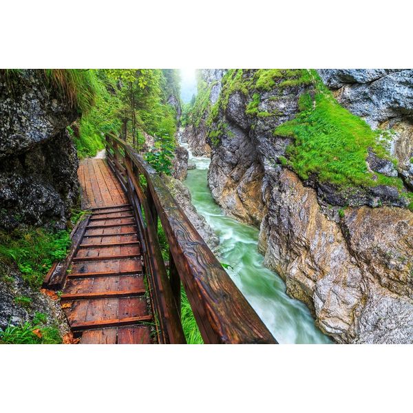 Fototapete Papermoon "Weg Am Fluss", Bunt, B:4M L:2,6M, Vlies, Tapeten-image