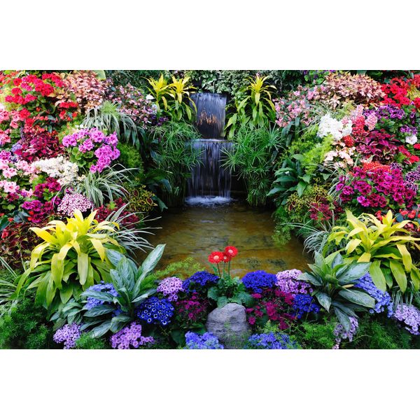 Fototapete Papermoon "Blumen Lagune Wasserfall", Bunt, B:5M L:2,8M, Vlies, Tapeten-image