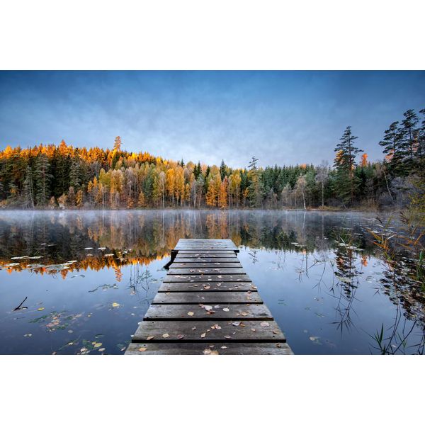 Fototapete Papermoon "Photo-Art Keller, Herbststeg", Bunt, B:4M L:2,6M, Vlies, Tapeten-image