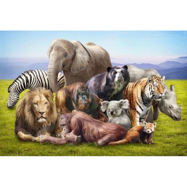 Fototapete Papermoon "Tiere", Bunt, B:4M L:2,6M, Vlies, Tapeten-image