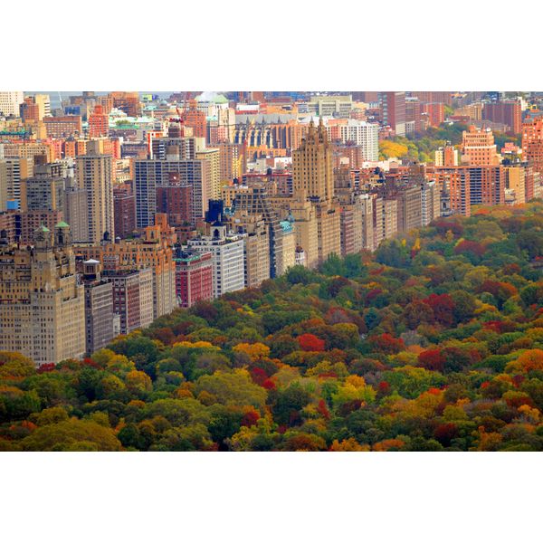 Fototapete Papermoon "Central Park", Bunt, B:4M L:2,6M, Vlies, Tapeten-image