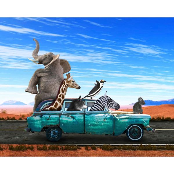 Fototapete Papermoon "Tiere In Auto", Bunt, B:4M L:2,6M, Vlies, Tapeten-image