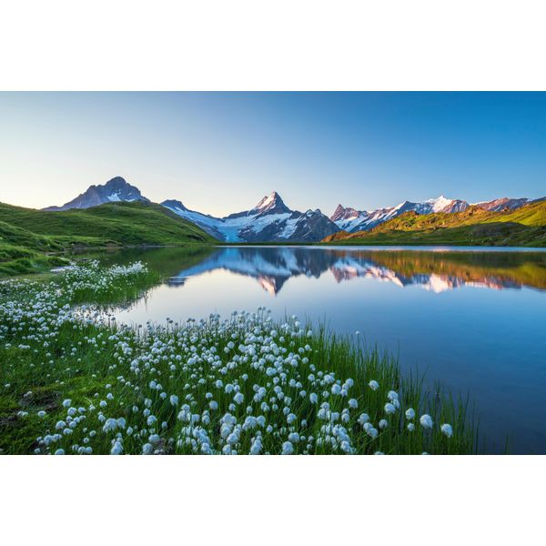 Fototapete Papermoon "LANDSCHAFT-GEBIRGE Berge See Alpen Blumen Natur Tapete", Bunt, B:4M L:2,6M, Vlies, Tapeten-image