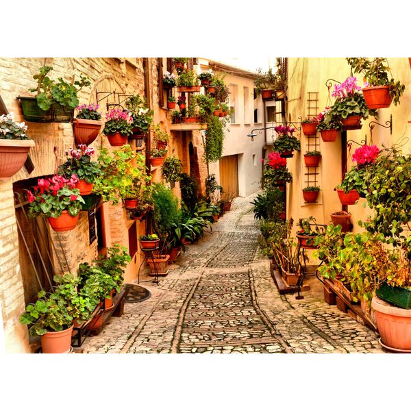 Fototapete Papermoon "Alley In Spello Umbria", Bunt, B:5M L:2,8M, Vlies, Tapeten-image