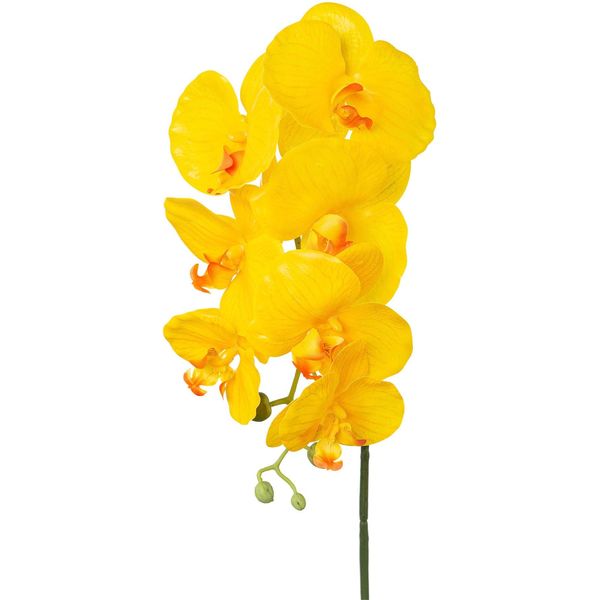 Kunstorchidee Creativ Green "Orchidee Phalaenopsis", Gelb, H:76Cm, Kunstpflanzen, Mit Real-Touch-BlüTen-image