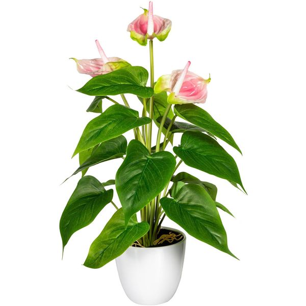 Kunstpflanze Otto Home "Haune", Rosa, B:16Cm H:40Cm, Kunststoff, Kunstpflanzen, Kunstpflanze, Im Topf-image
