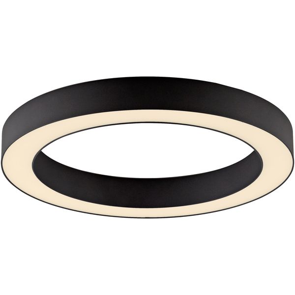 Neuhaus Pure Led Deckenleuchte "Pure Lines Round", Graphite, 1, Ø 35Cm H: 3,9Cm, 1 Stk., Leuchten, Stufenlos Dimmbar üBer Fernbedienung, Cct, Led Deckenleuchte-image