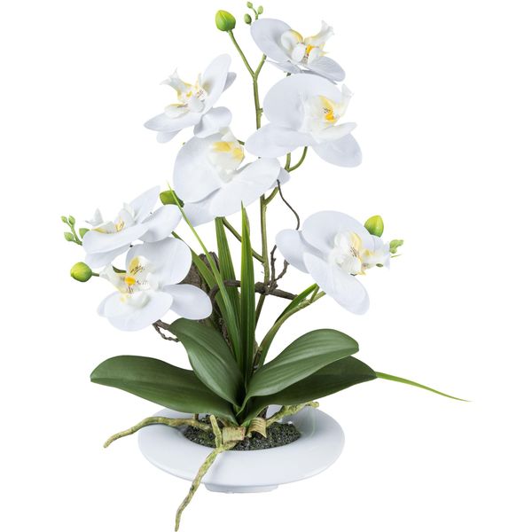 Kunstorchidee Creativ Green "Orchidee Phalaenopsis", Weiß, H:41Cm, Kunststoff, Kunstpflanzen, In AußErgewöHnlicher Keramikschale-image