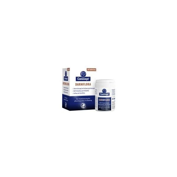 Ardap Canosept Flore Intestinale - 30 CompriméS-image