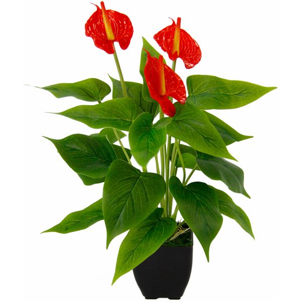 Kunstblume I.Ge.A. "Anthuriumpflanze", Rot, B:20Cm H:42Cm L:20Cm, Obermaterial: 80% Polyester, 20% Kunststoff, Kunstpflanzen, Anthurien Pflanze Im Topf Anthurieexotisch Flamingopflanze-image
