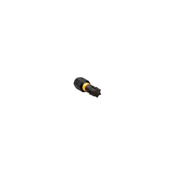 Dewalt Torsion Bit Schlagfest T20 25Mm (DT7381T-QZ)-image