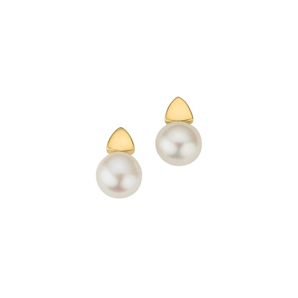 Paar Ohrstecker Firetti "Schmuck Geschenk Gold 333 Ohrschmuck Ohrringe Perlen", Gold (Gelbgoldfarben, Weiß), Ohrringe, Damen, 7Mm, Gelbgold 333 Perlen, Gelbgold 333, Perlen, Mit SüßWasserzuchtperle-image