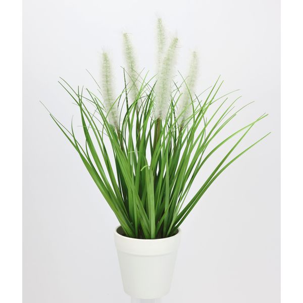 Kunstpflanze I.Ge.A. "Fuchsschwanzgras Im Topf", Weiß, B:14Cm H:35Cm L:14Cm, Kunststoff, Kunstpflanzen, Kunstpflanze-image