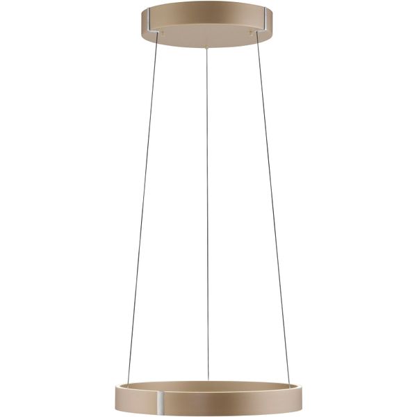 Neuhaus Pure LED Pendelleuchte "Pure E-Clipse", Bronzefarben, 2, Ø 50Cm H: 40Cm, 1 Stk., Leuchten, E-Lift-Funktion, Cct, Dimmbar üBer FernbedíEnung, LED Pendelleuchte-image