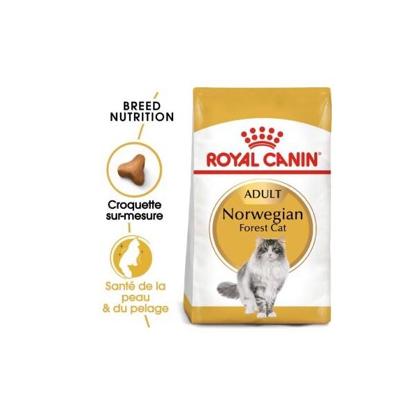 Royal Canin NorvéGien Adulte Croquettes Chat 2 Kg-image