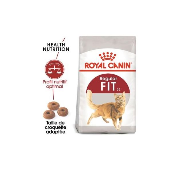 Royal Canin Fit 32 Croquettes Chat 10 Kg-image