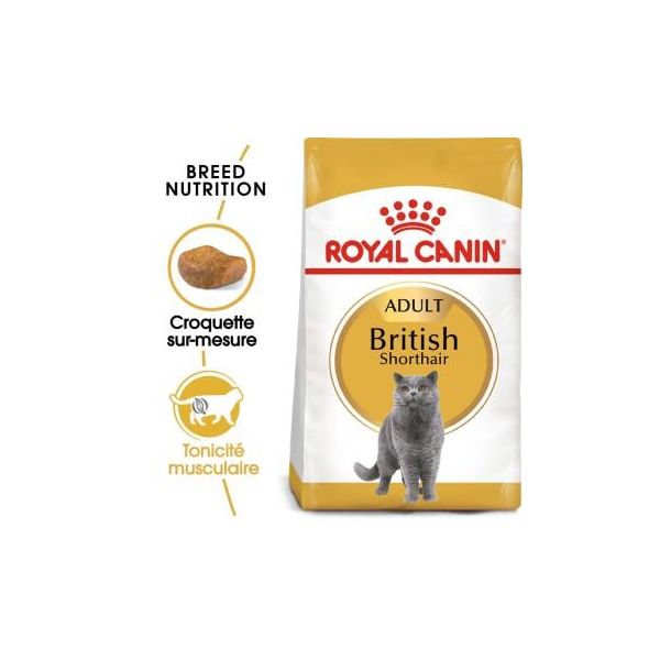 Royal Canin British Shorthair Adulte Croquettes Chat 2 Kg-image