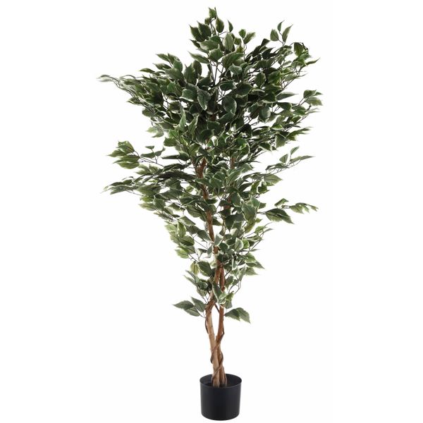 Kunstpflanze Creativ green "Ficus Benjamini", GrüN, B:10Cm H:150Cm, Kunststoff, Polyester, Kunstpflanzen, Kunstpflanze-image