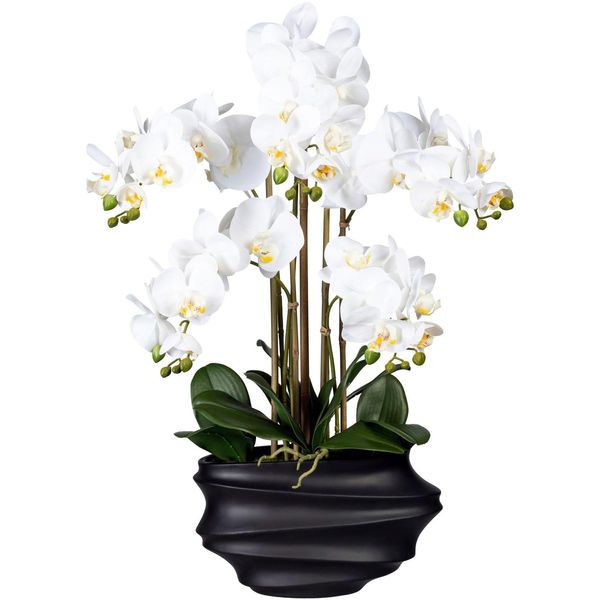 Kunstorchidee Creativ green "Phalaenopsis", Weiß, H:75Cm, Kunststoff, Kunstpflanzen, In Design-Kunststoffvase-image