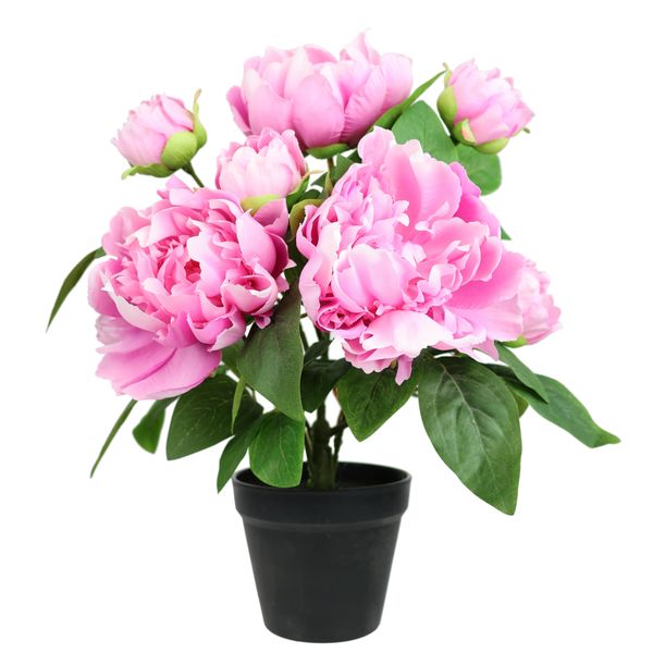 Kunstpflanze I.Ge.A. "KüNstlicher PäOnienbusch Im Topf", Pink (Rosa), B:31Cm H:40Cm T:25Cm, Polyester, Kunstpflanzen, Kunstpflanze, 40Cm Pfingstrose PäOnie Dekoblumen Kunstblume Deko Hochzeit-image