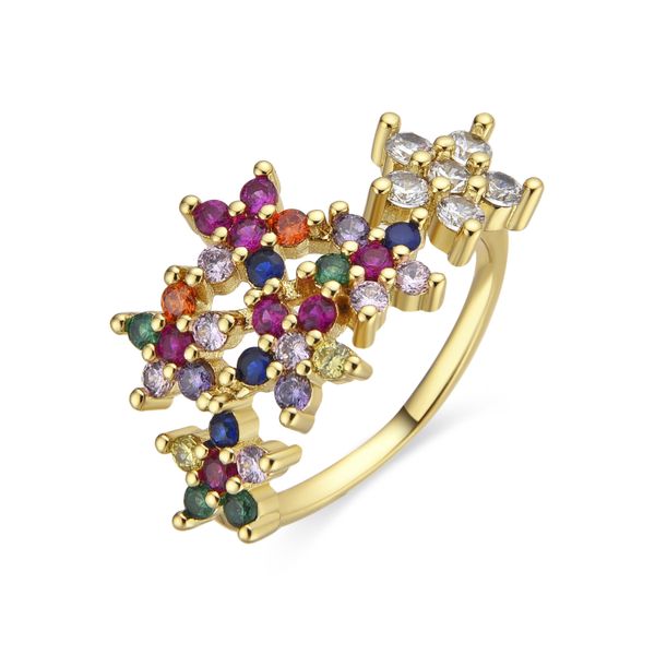 Luxenter Ring Mit Multicolour Zirkonia 18K Gold Finish - Qianvi-image