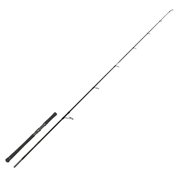 Zeck Evo Cat Spin 243Cm 20-120G Welsrute Wallerrute-image
