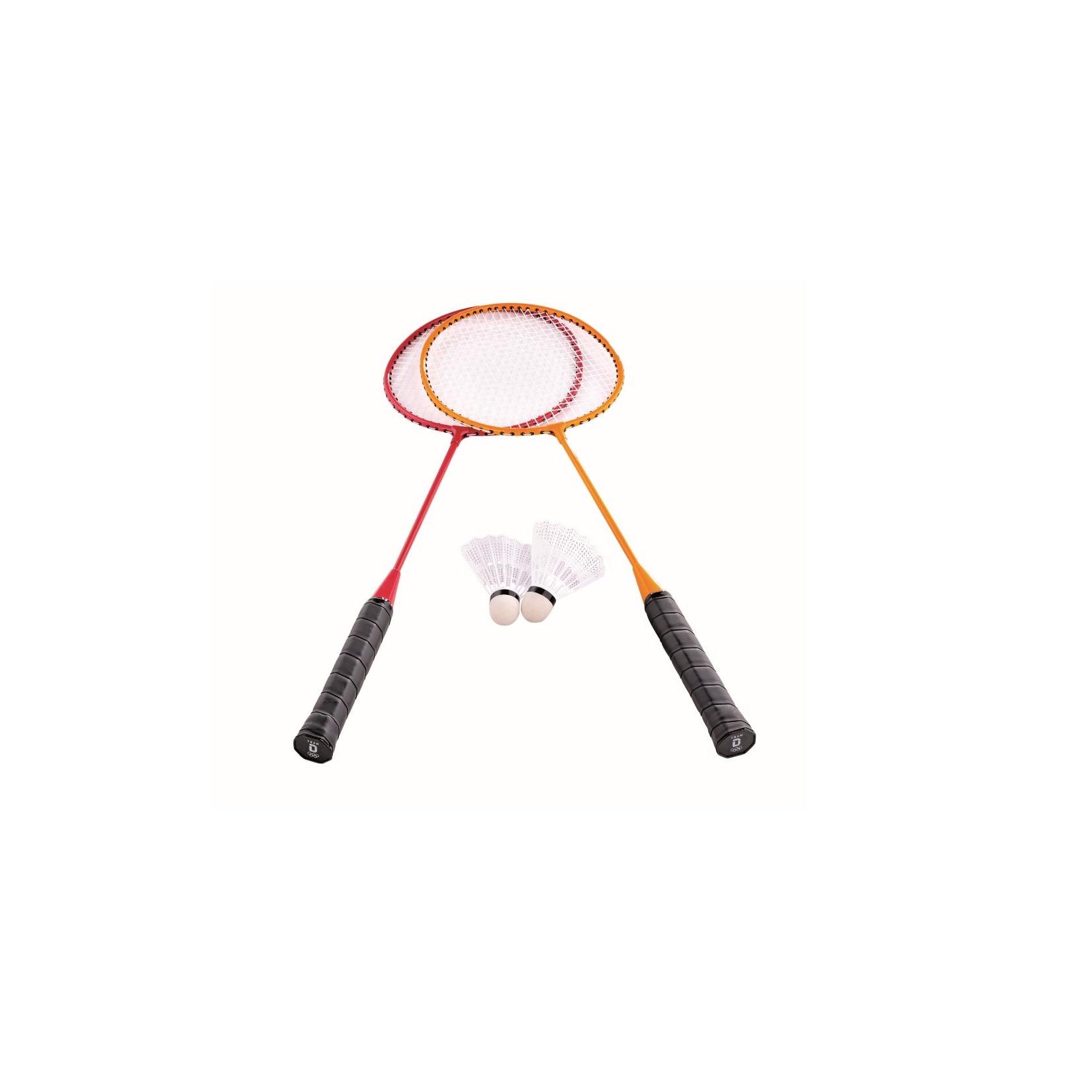 Team D Badmintonset