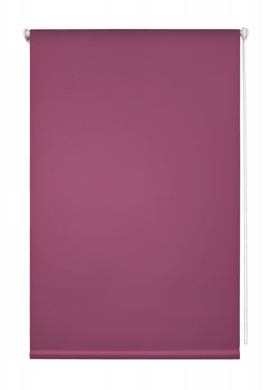 Lichtblick Thermorollo Klemmfix Fuchsia 60x150