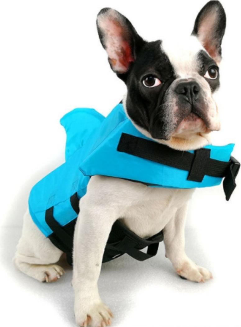 Salvagente Di Sicurezza Per Cani In Acqua, Blu, Taglia L Fino A 28 Kg