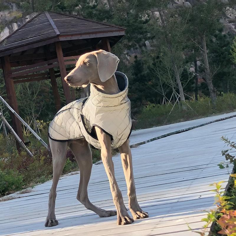 Vpetbr Tuta Isolante Riflettente Per Cani Di Taglia Media E Grande, Giacca Riflettente Per Cani, Taglia M 70 - 78Cm