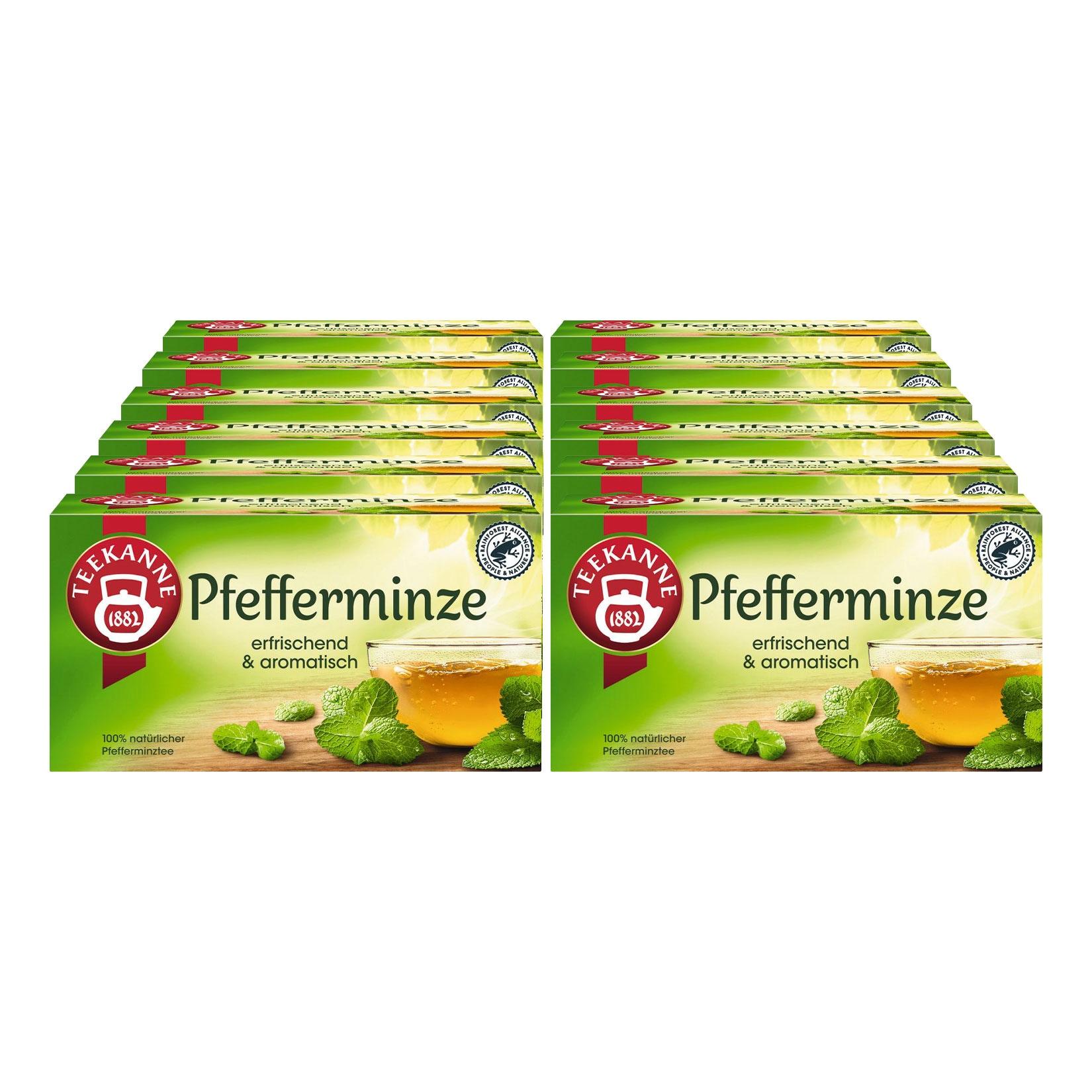 Teekanne Pfefferminze 112,5g, 12er Pack