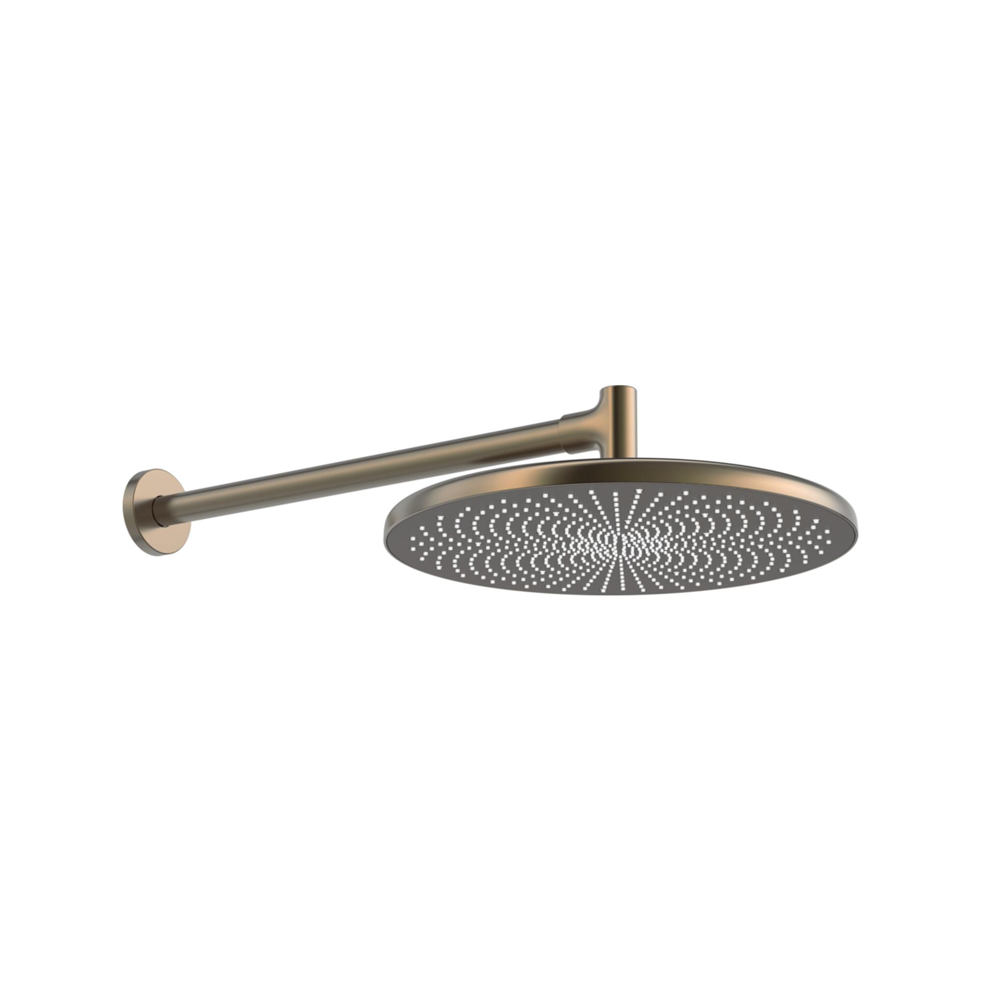 Hansa Kopfbrause Hansaaurelia Wandmontage, 1-Loch, Bronze GebüRstet (4726030081)