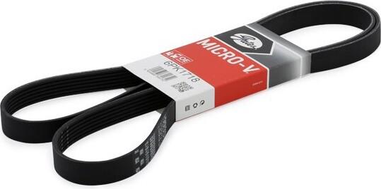 Cintura A Coste Multiple Gates 6PK1718
