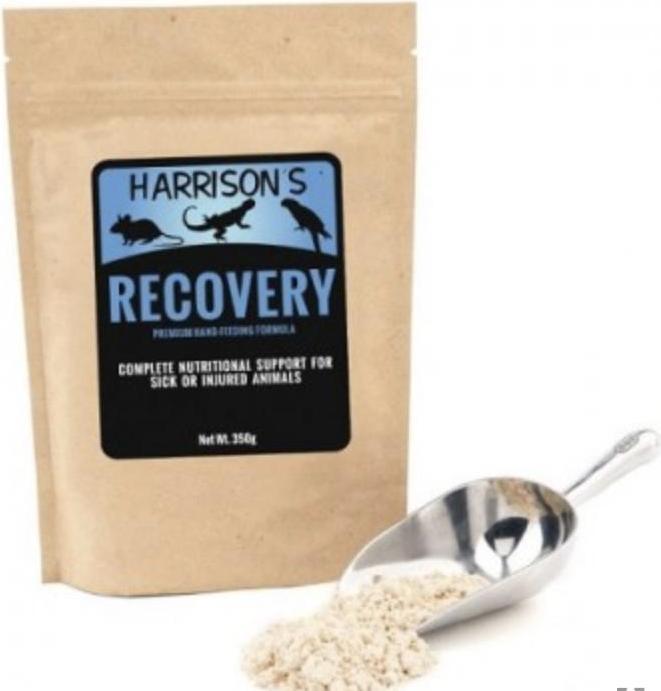 Formula Di Recupero Del Cibo Per L'allevamento A Mano Del Dottor Harrison, 0,35 Kg