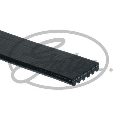 Gates 6PK1078 Cinghia Trapezoidale