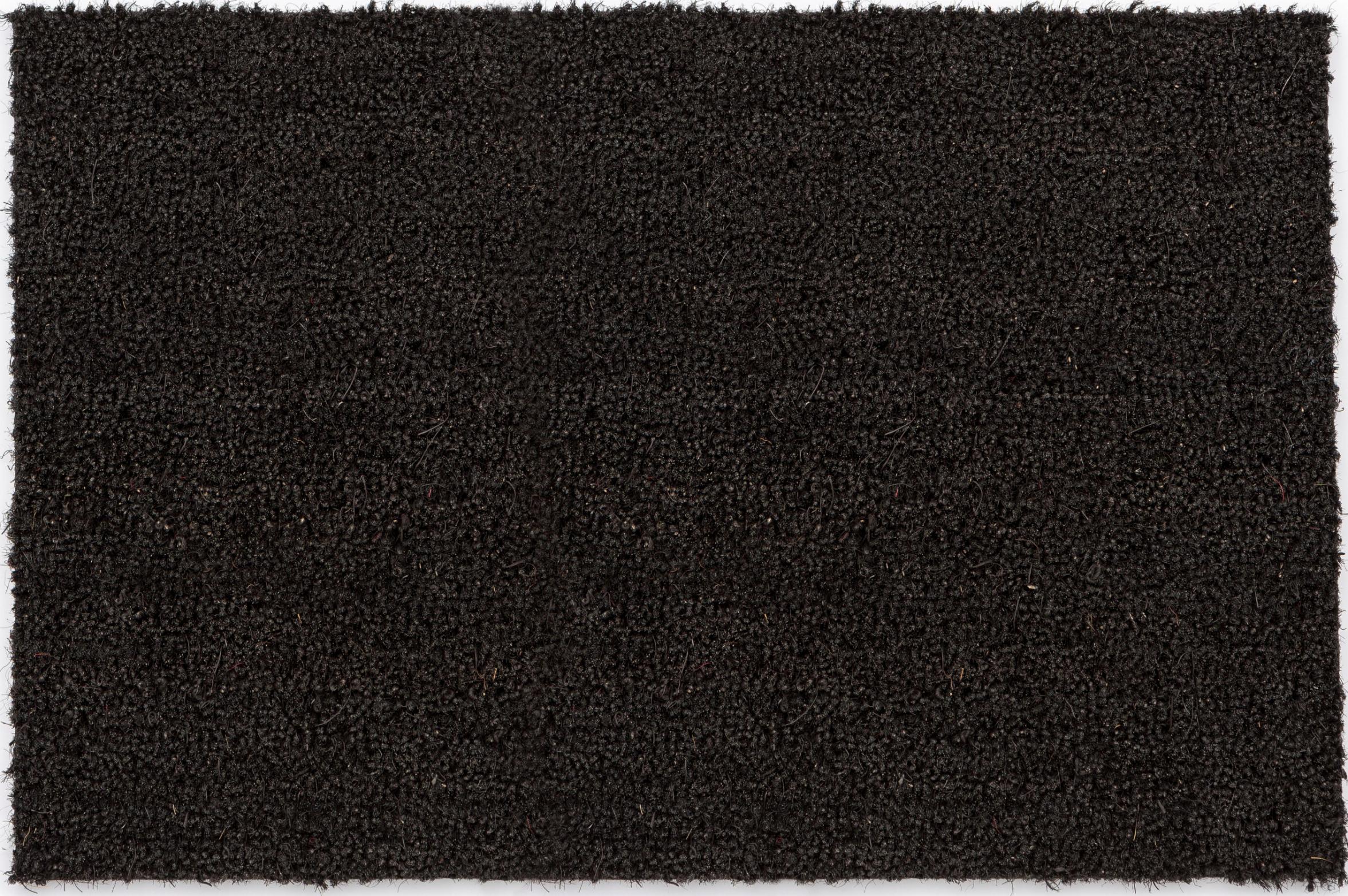 Fußmatte ASTRA "Kokosvelours 106" Gr. 16, schwarz, B:50cm H:16mm L:80cm, Kokos, Teppiche, Fußmatte, Schmutzfangmatte, Kokosmatte, In -und Outdoor geeignet