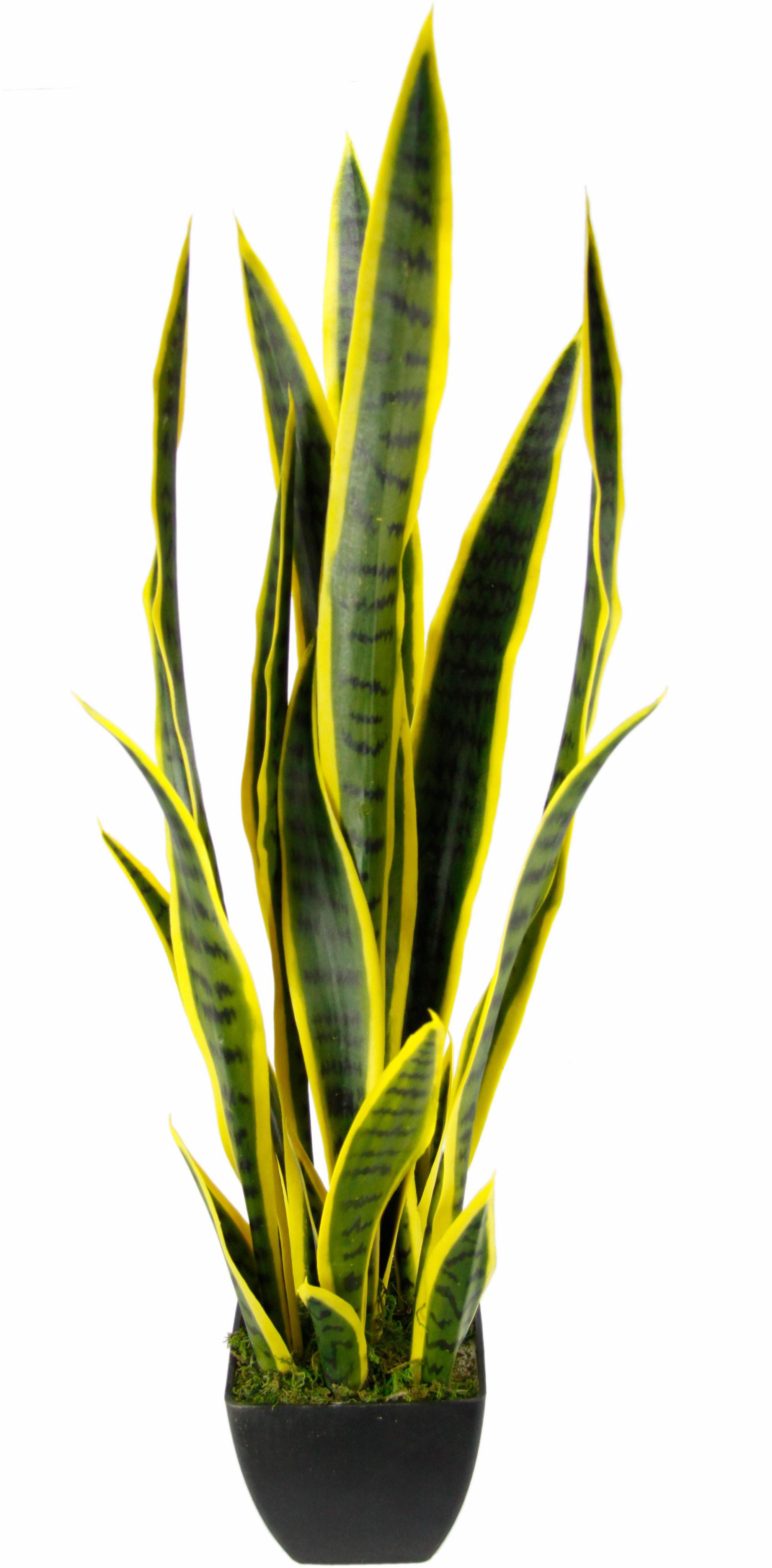 Kunstpflanze I.GE.A. "Senseverie", grün (grün, gelb), B:18cm H:85cm T:18cm, Kunststoff, Kunstpflanzen, Kunstpflanze