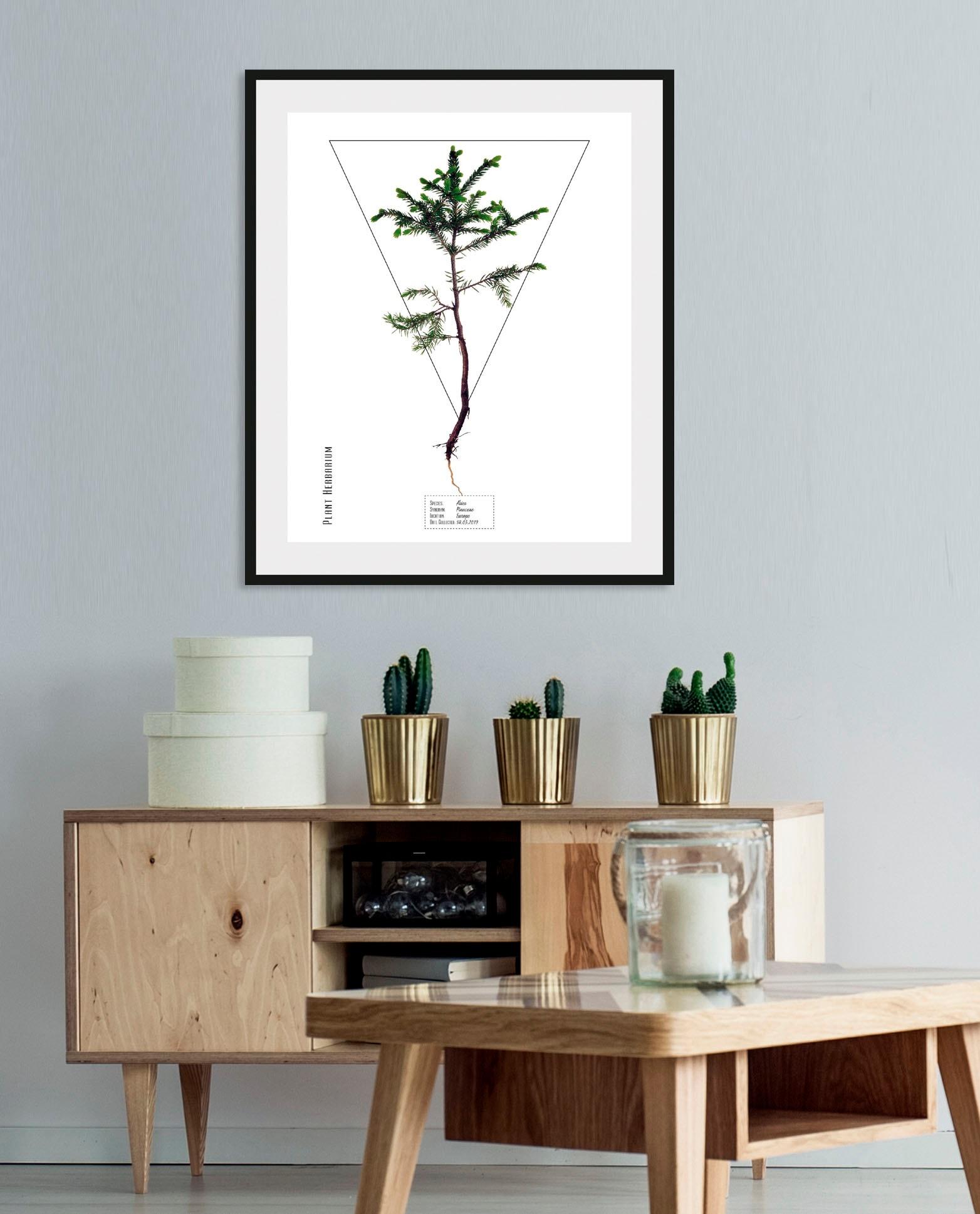 Bild QUEENCE "Abies", grün (farbe rahmen: schwarz, farbe bild(er): grün), B:50cm H:70cm, Bilder, Bild