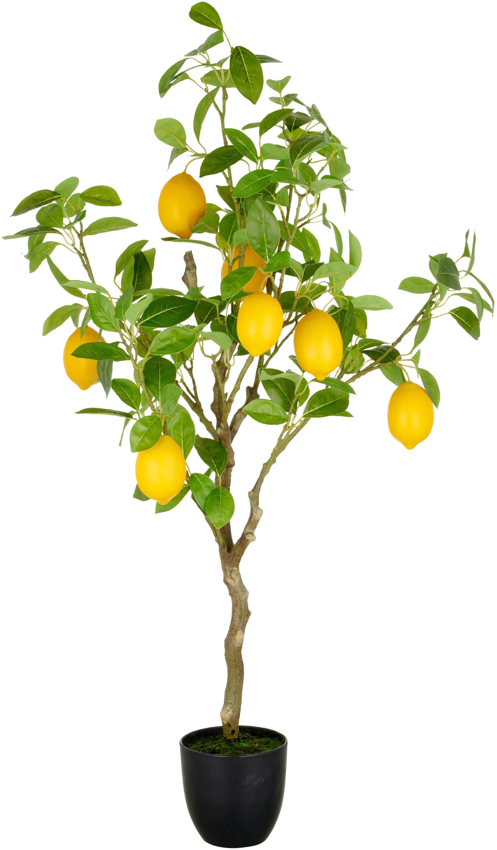 Kunstbaum CREATIV GREEN "Zitrone", grün, H:90cm, Kunststoff, Kunstpflanzen, Kunstbaum, mit detailgetreuer Gestaltung