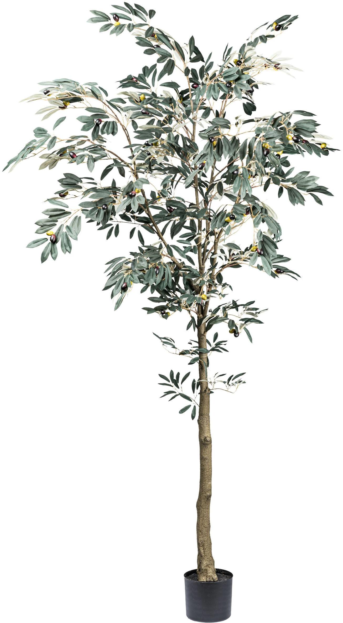Kunstbaum CREATIV GREEN "Olive", grün, H:210cm, Kunststoff, Kunstpflanzen, Kunstbaum, mit detailgetreuer Gestaltung