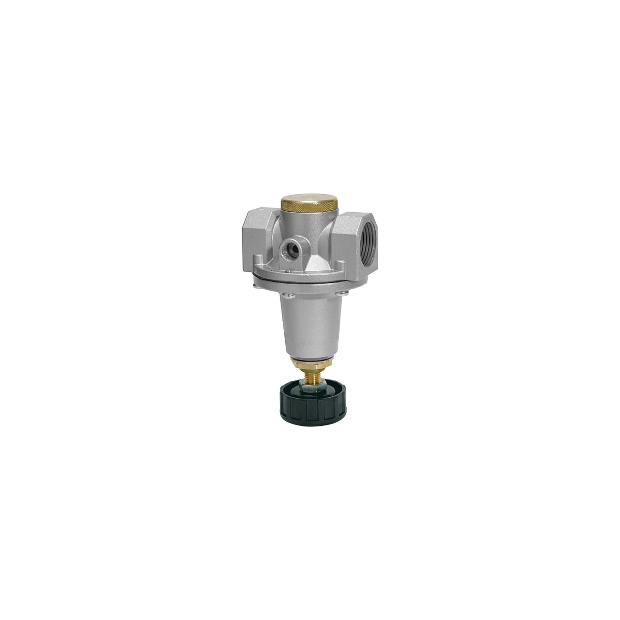 Riegler Druckregler Schalttafeleinbau »Standard«, Bg 3, G 1, 0,5 - 16 Bar (637.543 D)