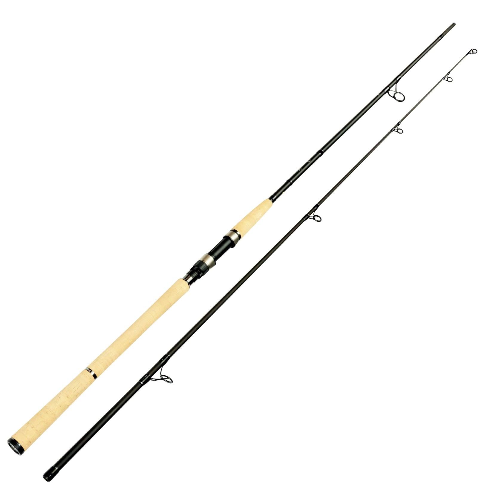 Sportex Regera RG2408 2,40m 50-165g Raubfischrute