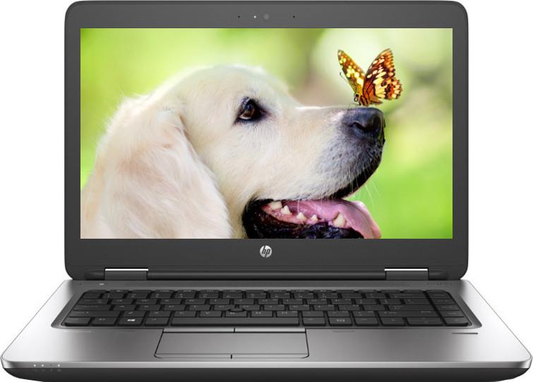 Adattatore Di Alimentazione Hp Adattatore Di Alimentazione Hp USB-C G2 Da 45W