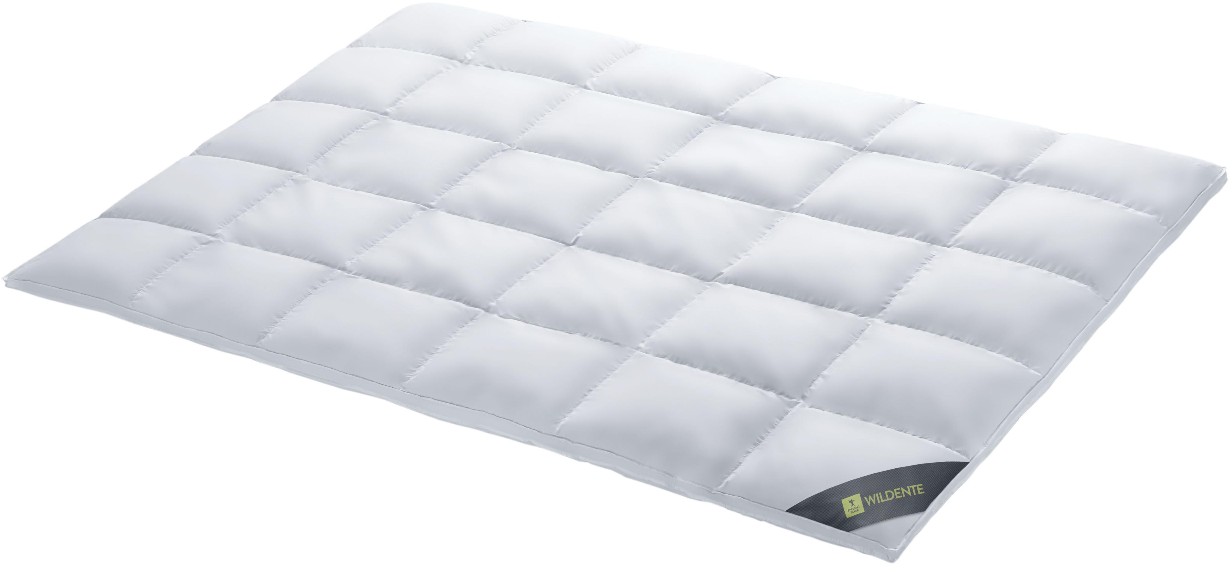 Daunenbettdecke SPESSARTTRAUM "Wildente Bettdecken 135x200cm & weitere Größen", silber (silberfarben), B:240cm L:220cm, Bezug: 100% Baumwolle. Füllung: 100% Daunen, Bettdecken, Daunenbettdecke, Bettdecken Ganzjahresbettdecke, Winter, Sommer